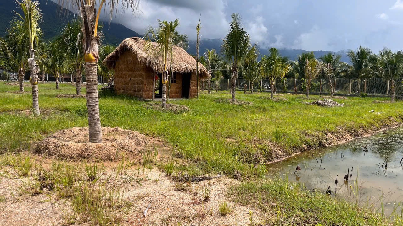 Để người dân không còn mua lại đất của chính mình khi chuyển mục đích sang đất ở