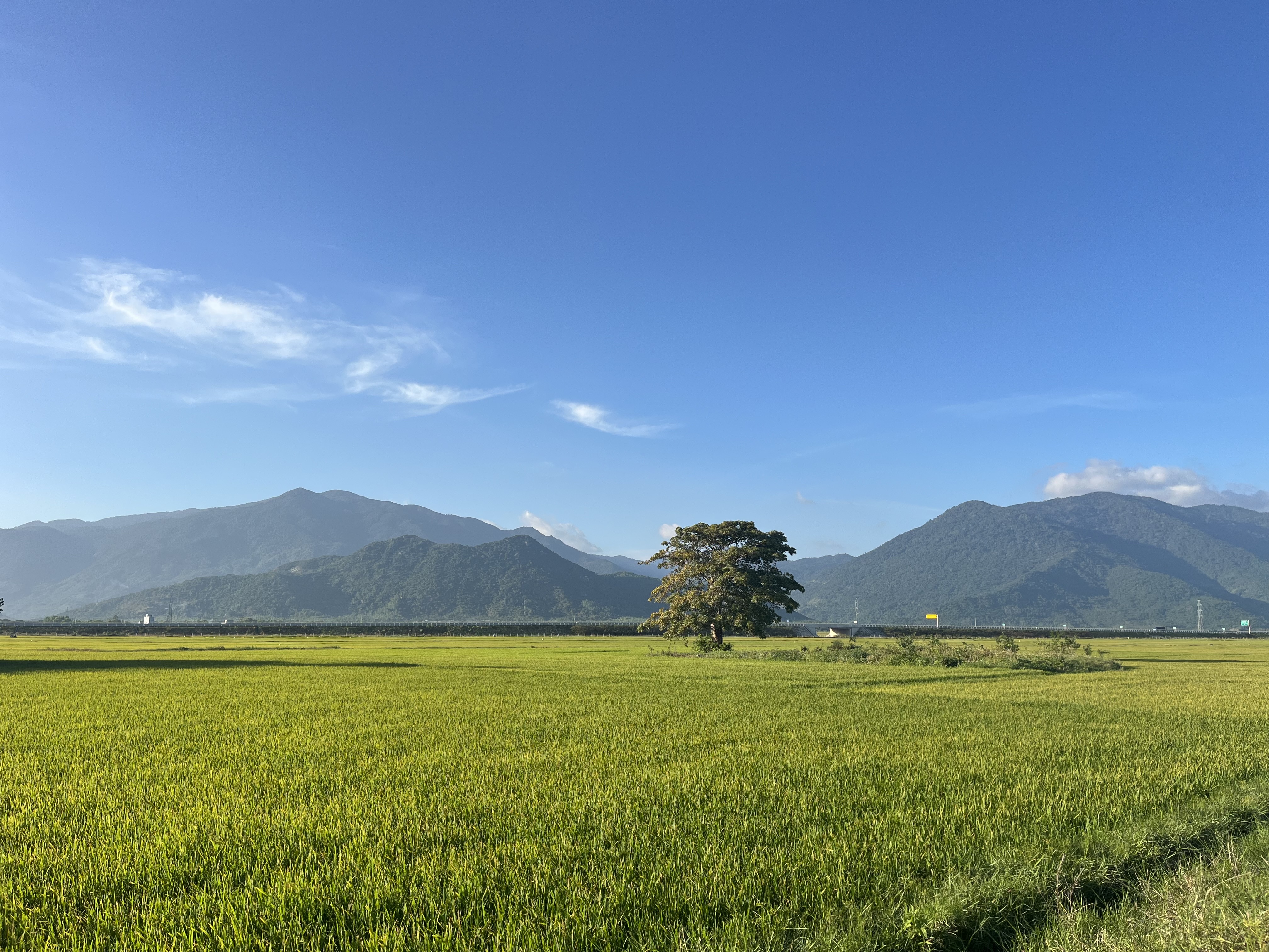 Cách tính tiền đền bù đất nông nghiệp khi Nhà nước thu hồi đất năm 2026