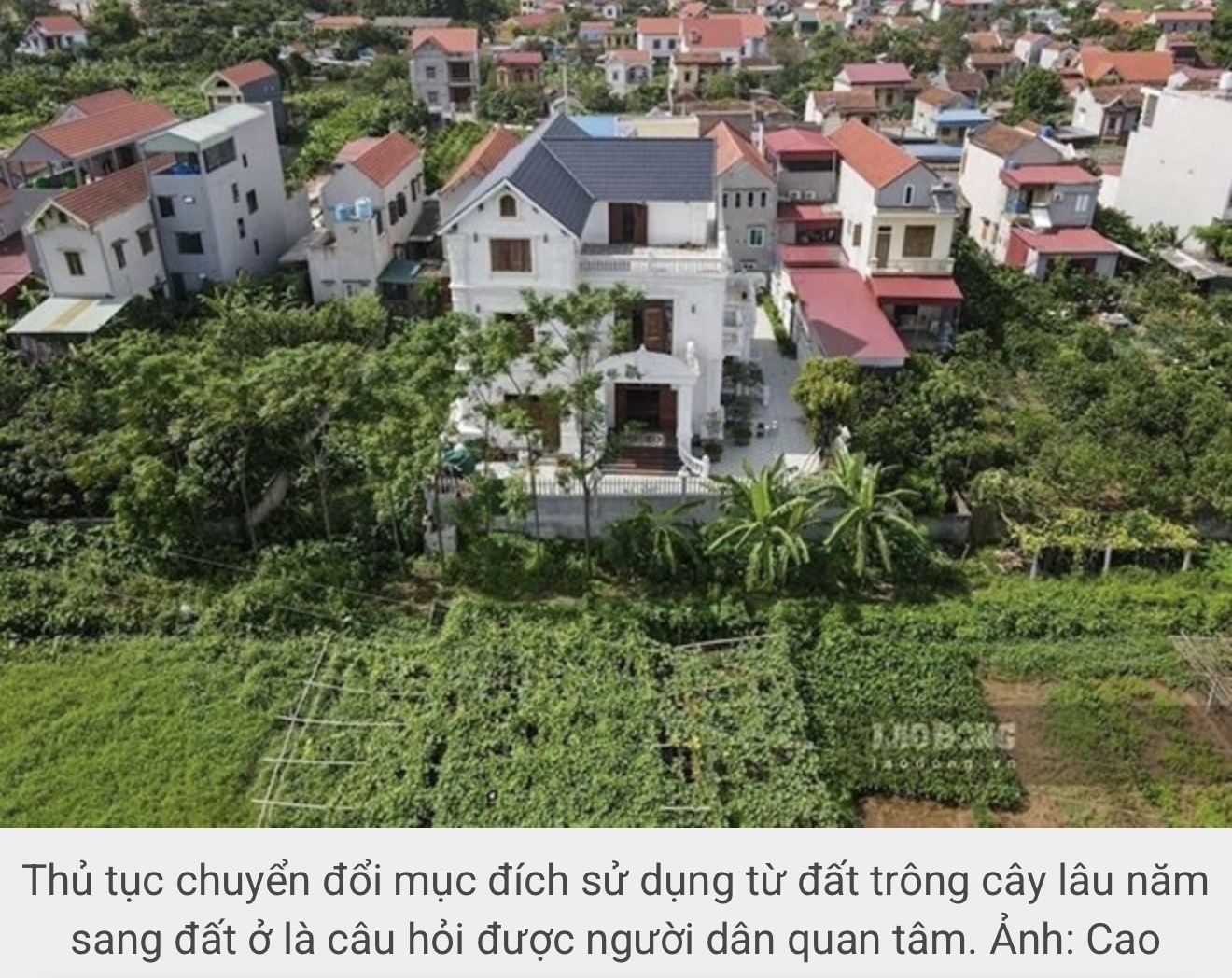 Xin chuyển mục đích sử dụng lên đất ở, cán bộ xã nói phải tháo dỡ nhà mới được giải quyết