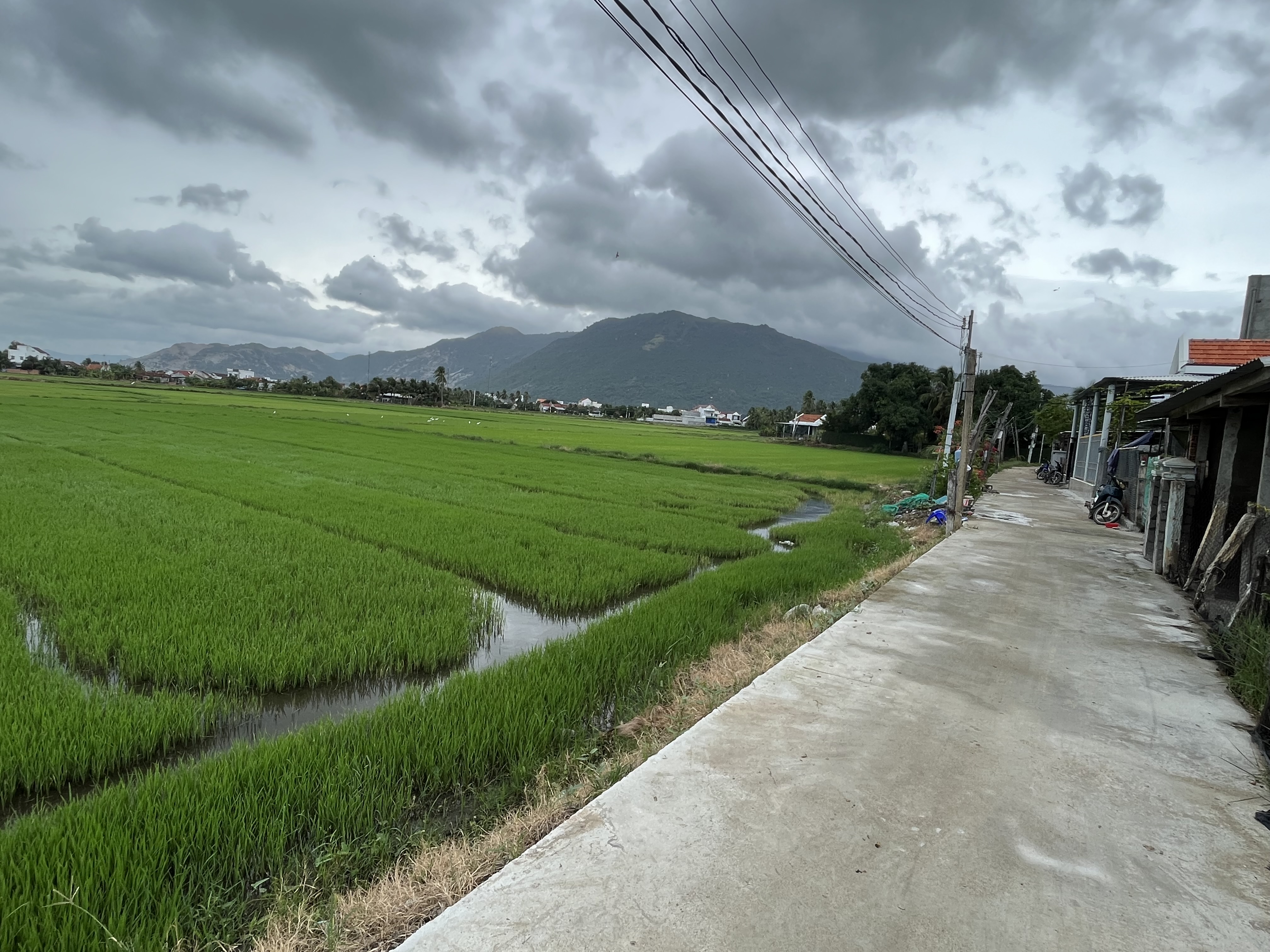 Cách để chuyển đất nông nghiệp sang đất thổ cư nhiều nhất