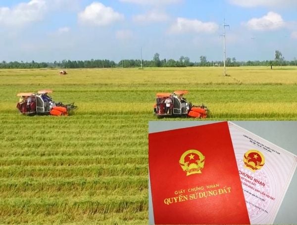 chuyển đất nông nghiệp thành đất ở tốn bao nhiêu tiền