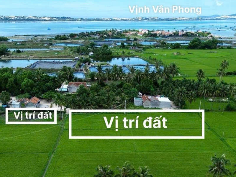BÁN ĐẤT NÔNG NGHIỆP QUY HOẠCH FULL THỔ NẰM TRONG KHU ĐÔ THỊ