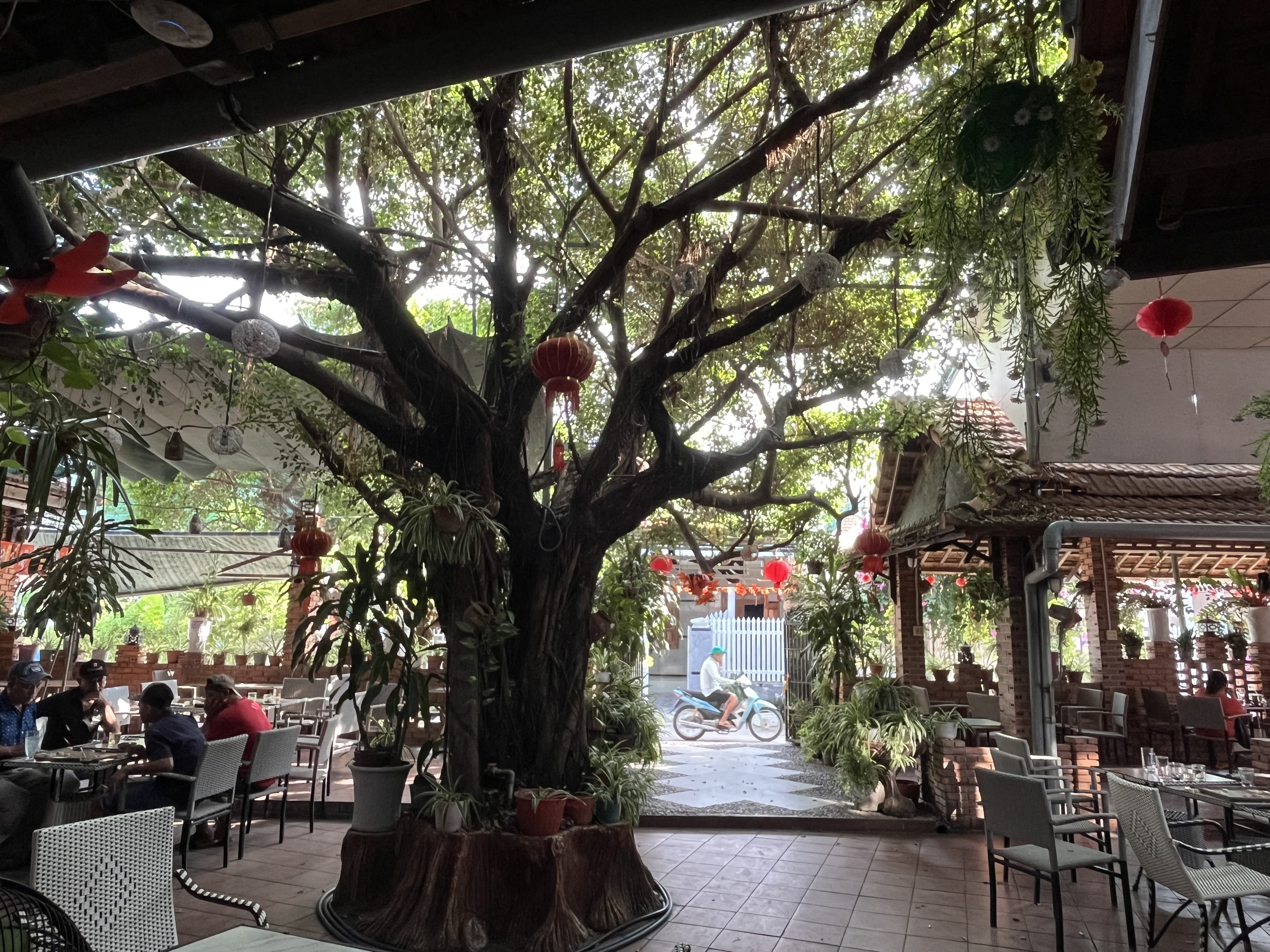  BÁN LÔ GÓC ĐANG CÓ NHÀ KINH DOANH CAFE