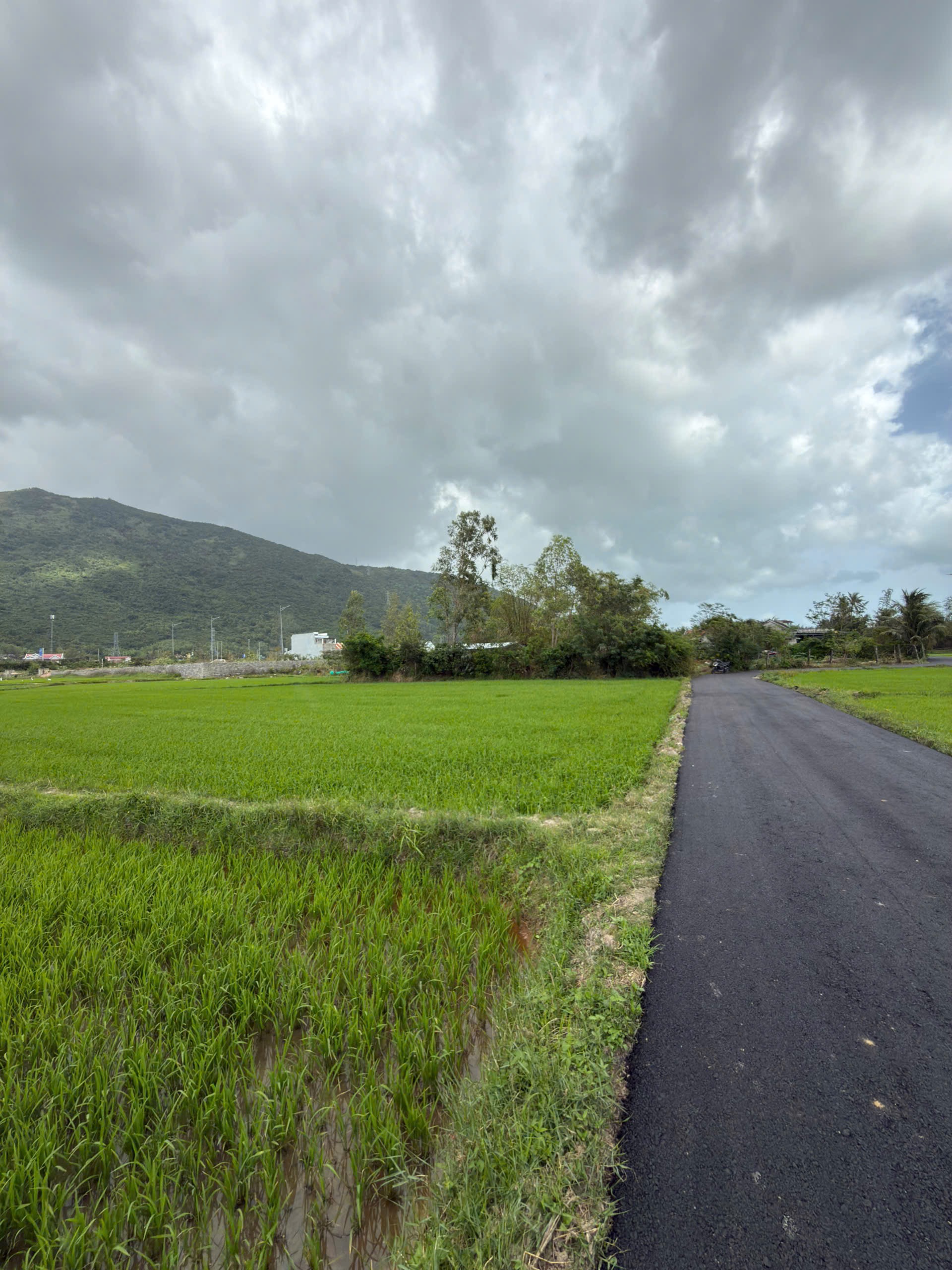 BÁN LÔ ĐẤT NN PHÙ HỢP LÊN THỔ KHU KINH TRÉ VÂN PHONG 